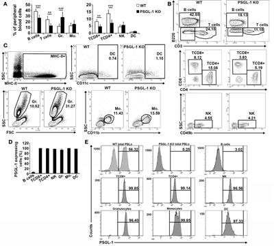 Relevance of PSGL-1 Expression in B Cell Development and Activation